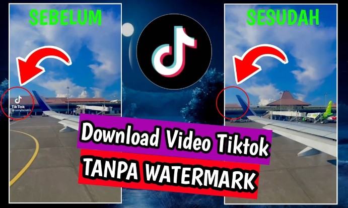 Download Tiktok Tanpa Tanda Air