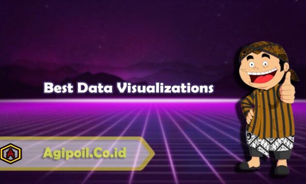 Best Data Visualizations